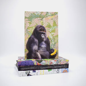 A5 Hardback Notebooks